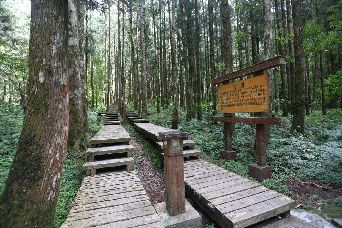蕨園