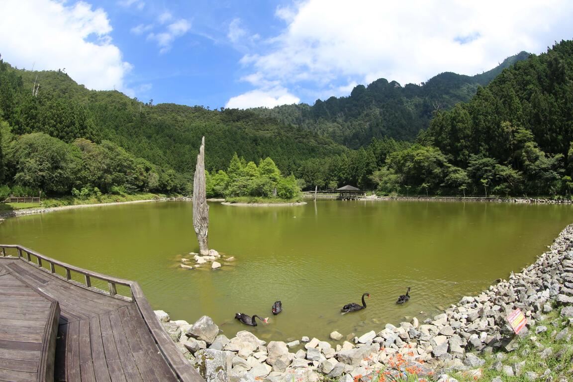 明池森林遊樂區湖面
