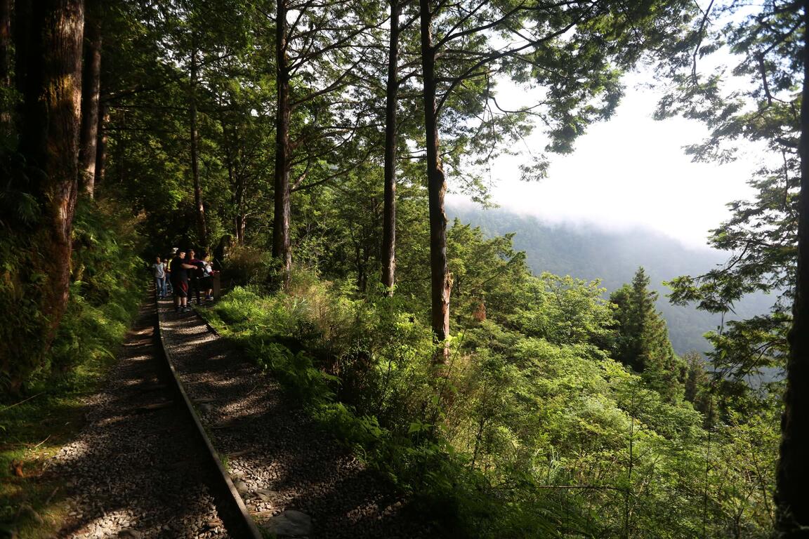 有點雲霧加上陽光的太平山