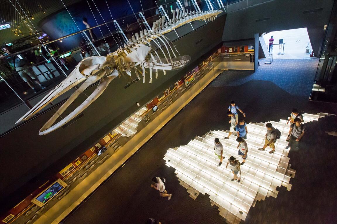 吊在空中的模型