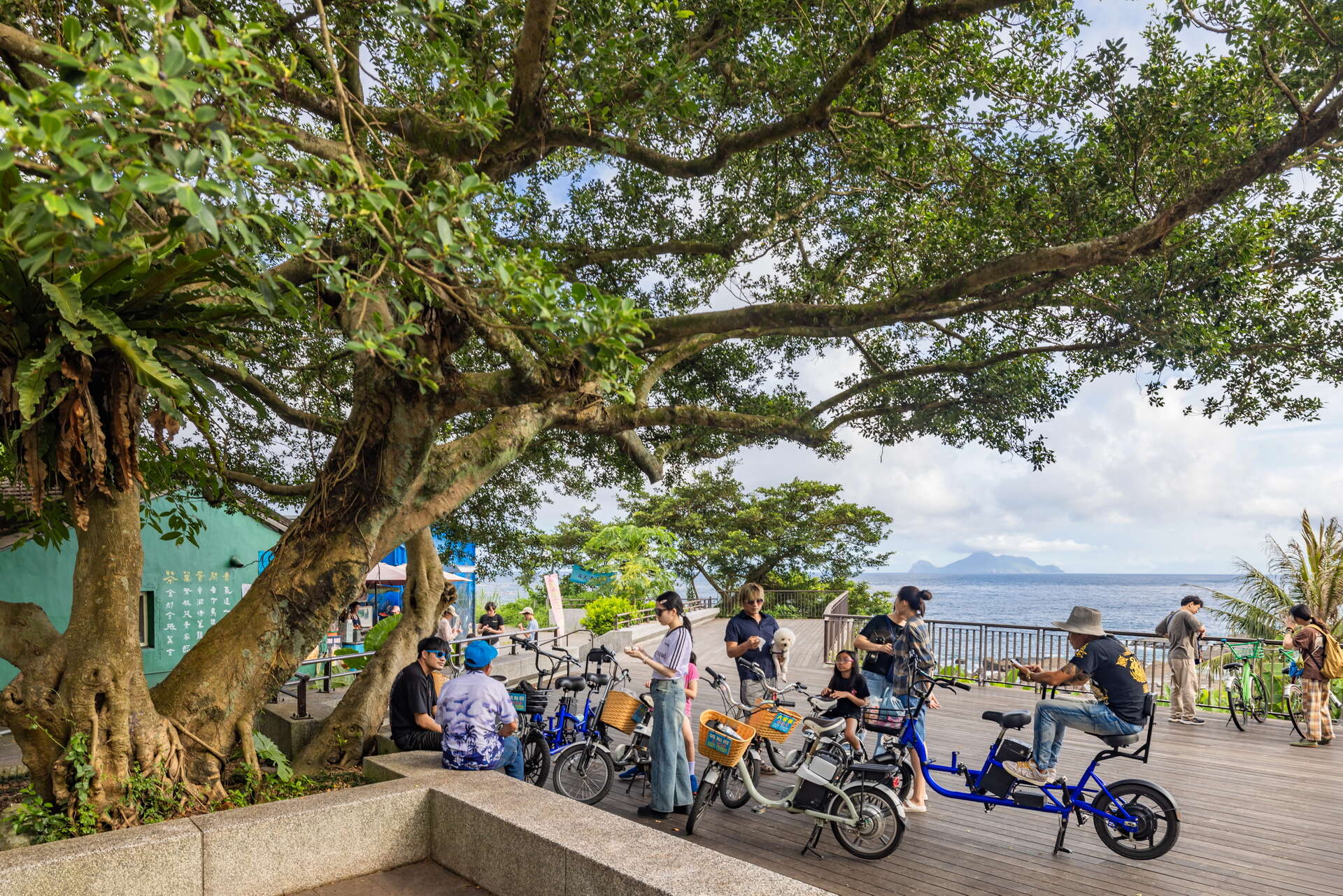 假日常吸引遊客在此騎乘單車