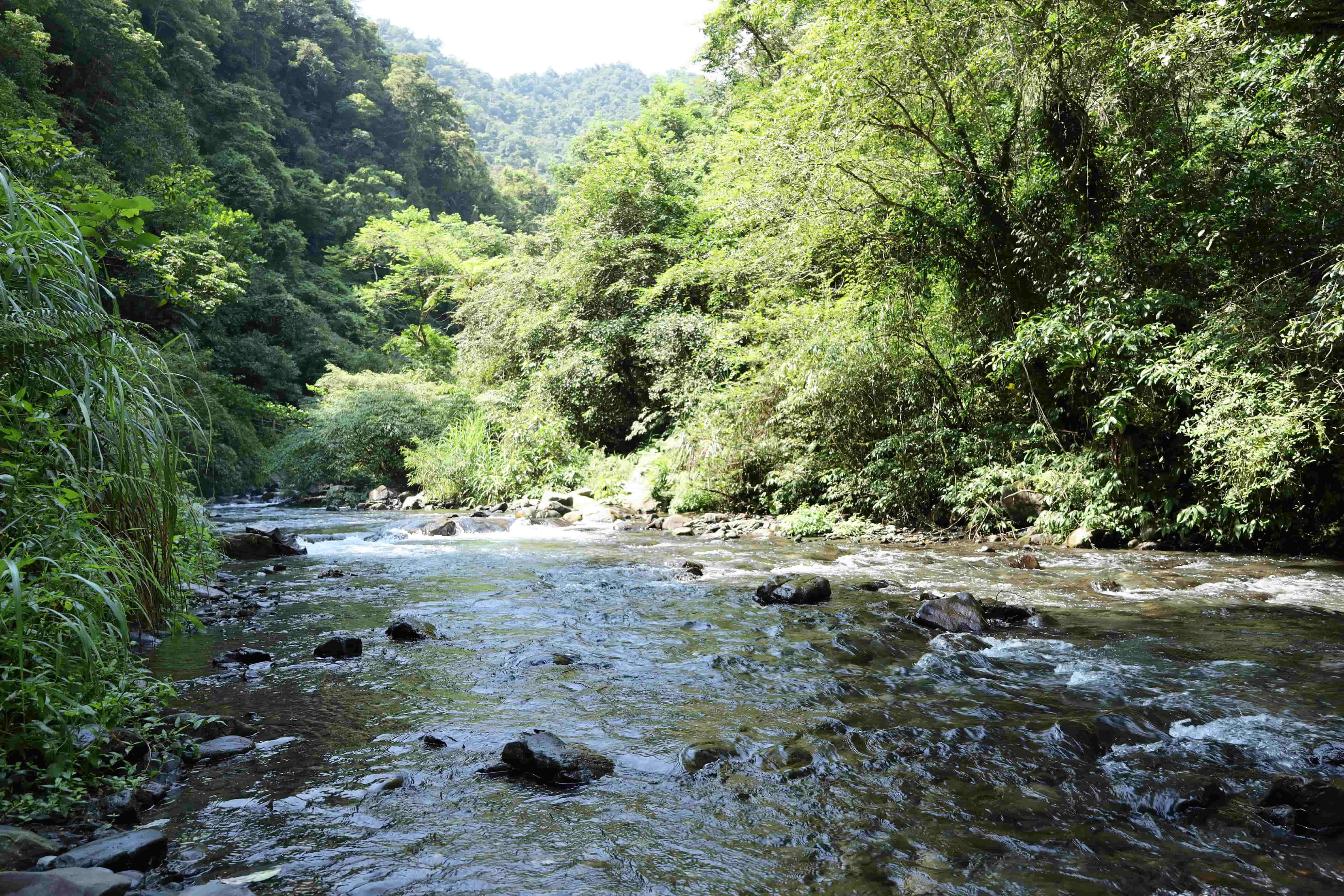 九寮溪自然步道綠意盎然_大同鄉公所提供