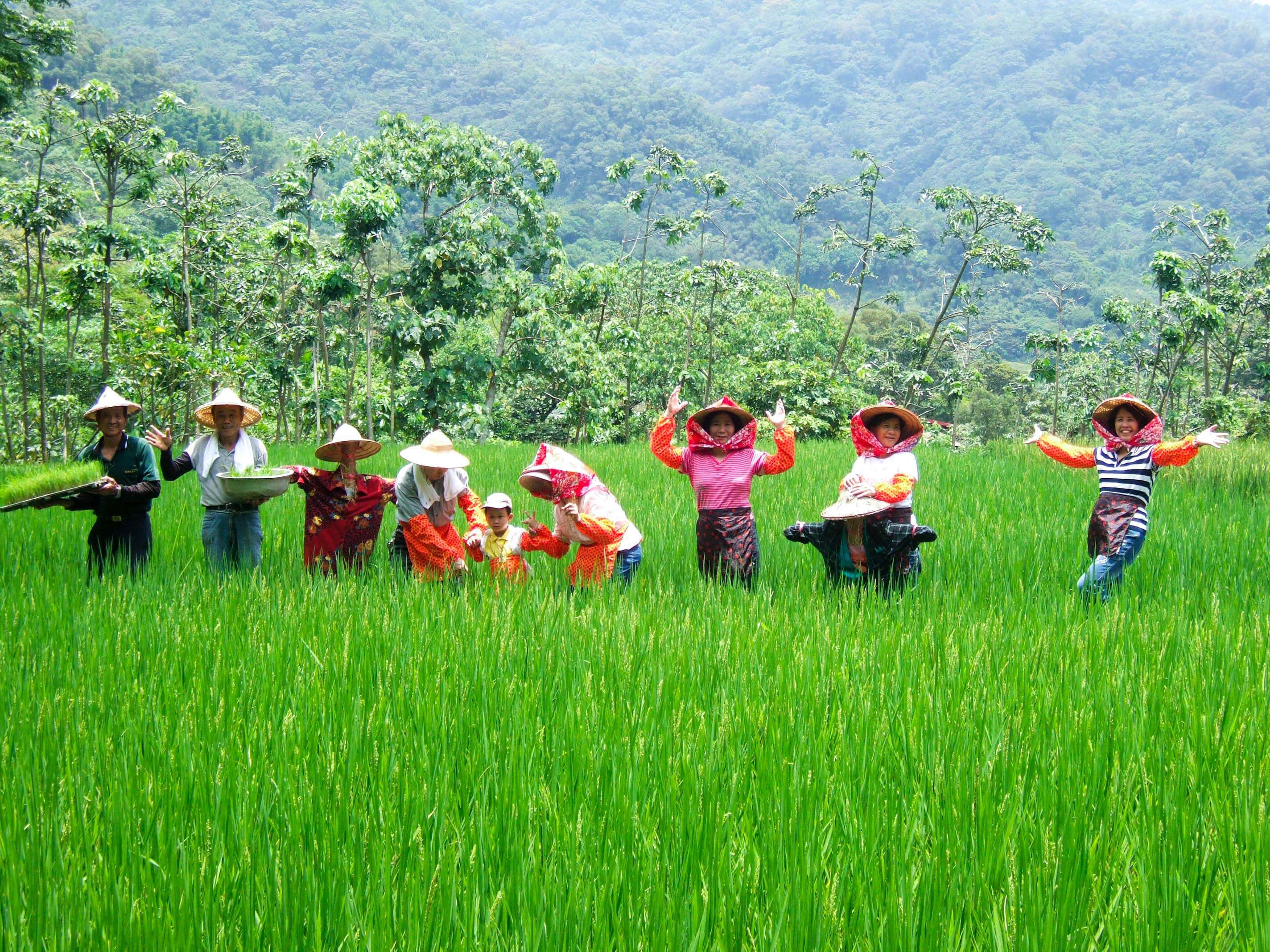 一日農夫農遊體驗