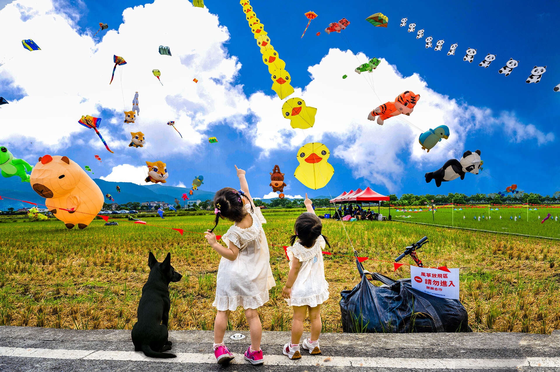 冬山三奇美徑-風箏節_冬山鄉公所提供