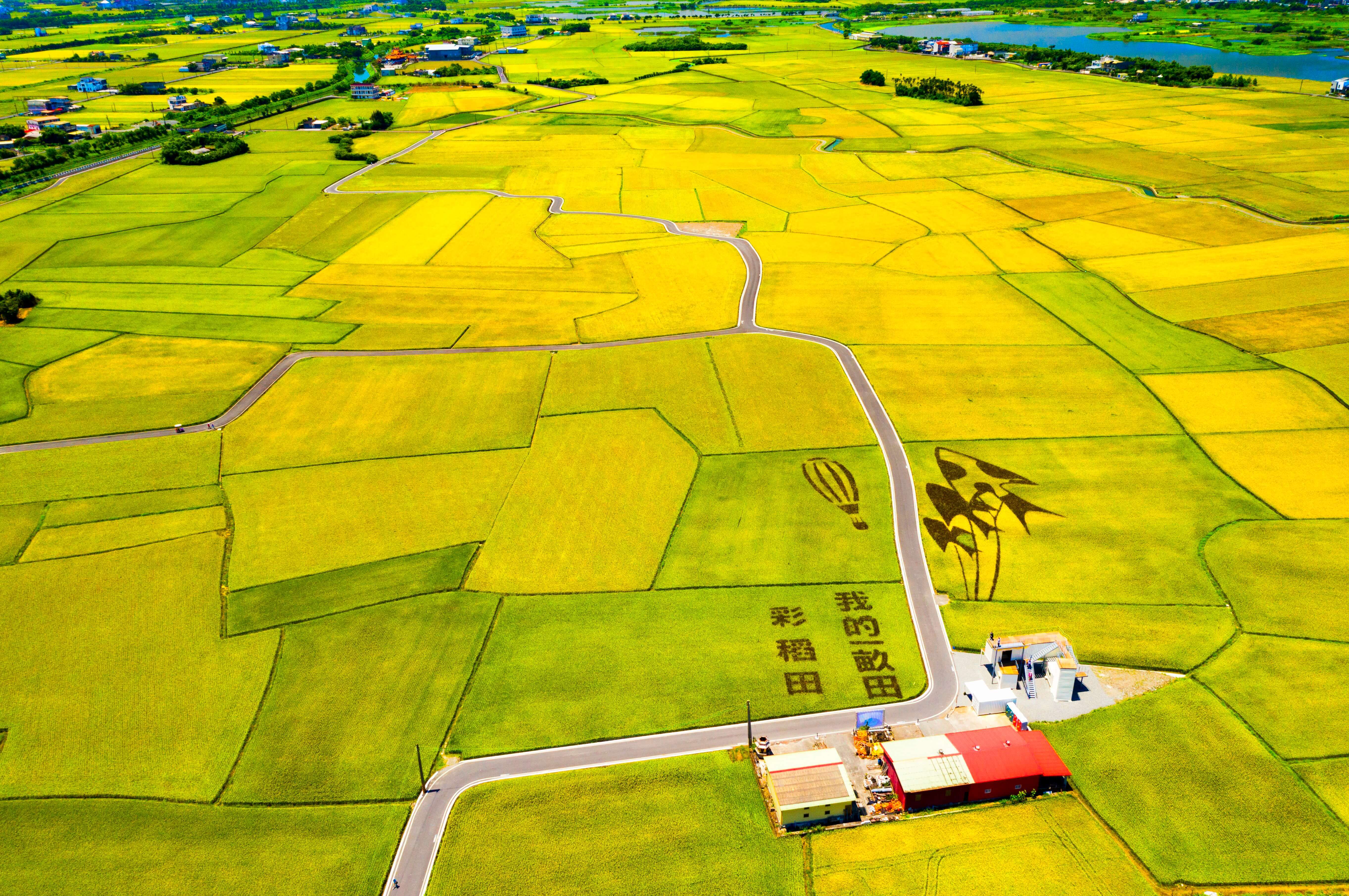 冬山三奇美徑-黃金稻浪_冬山鄉公所提供