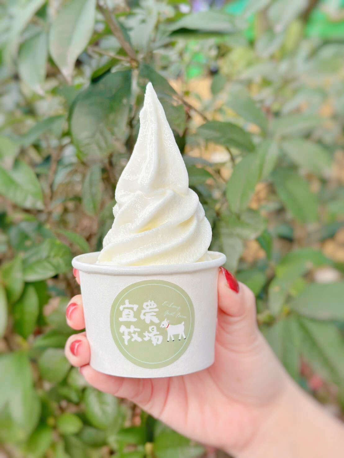 羊乳冰品_宜農牧場提供