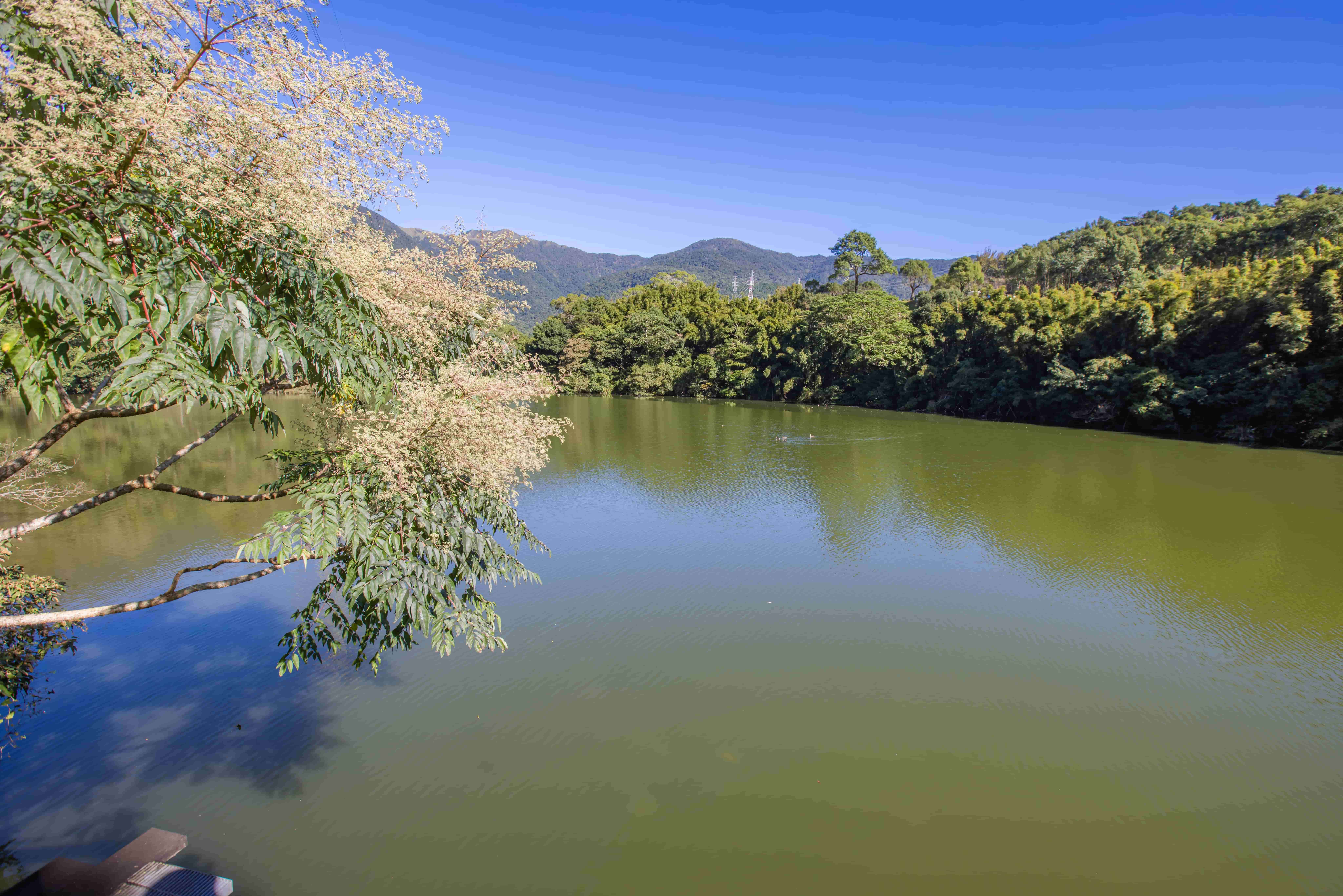 湖光倒映綠意山景_礁溪鄉公所提供