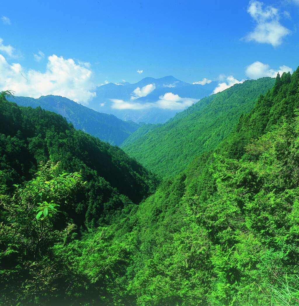 眺望山脈_林業保育署宜蘭分署提供