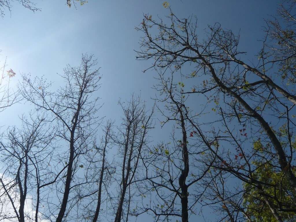 生態景觀與自然休閒_林業保育署宜蘭分署