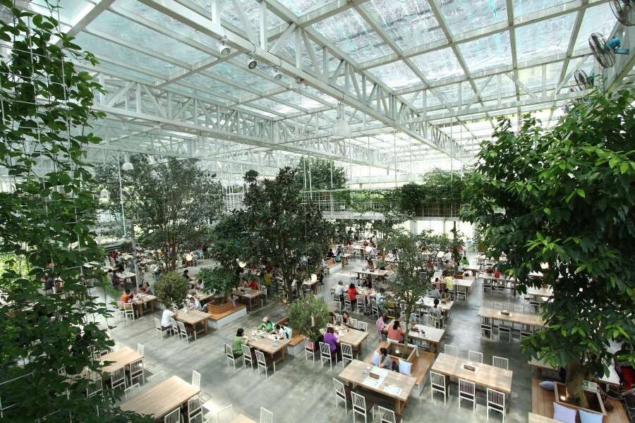 香草菲菲芳香植物博物館