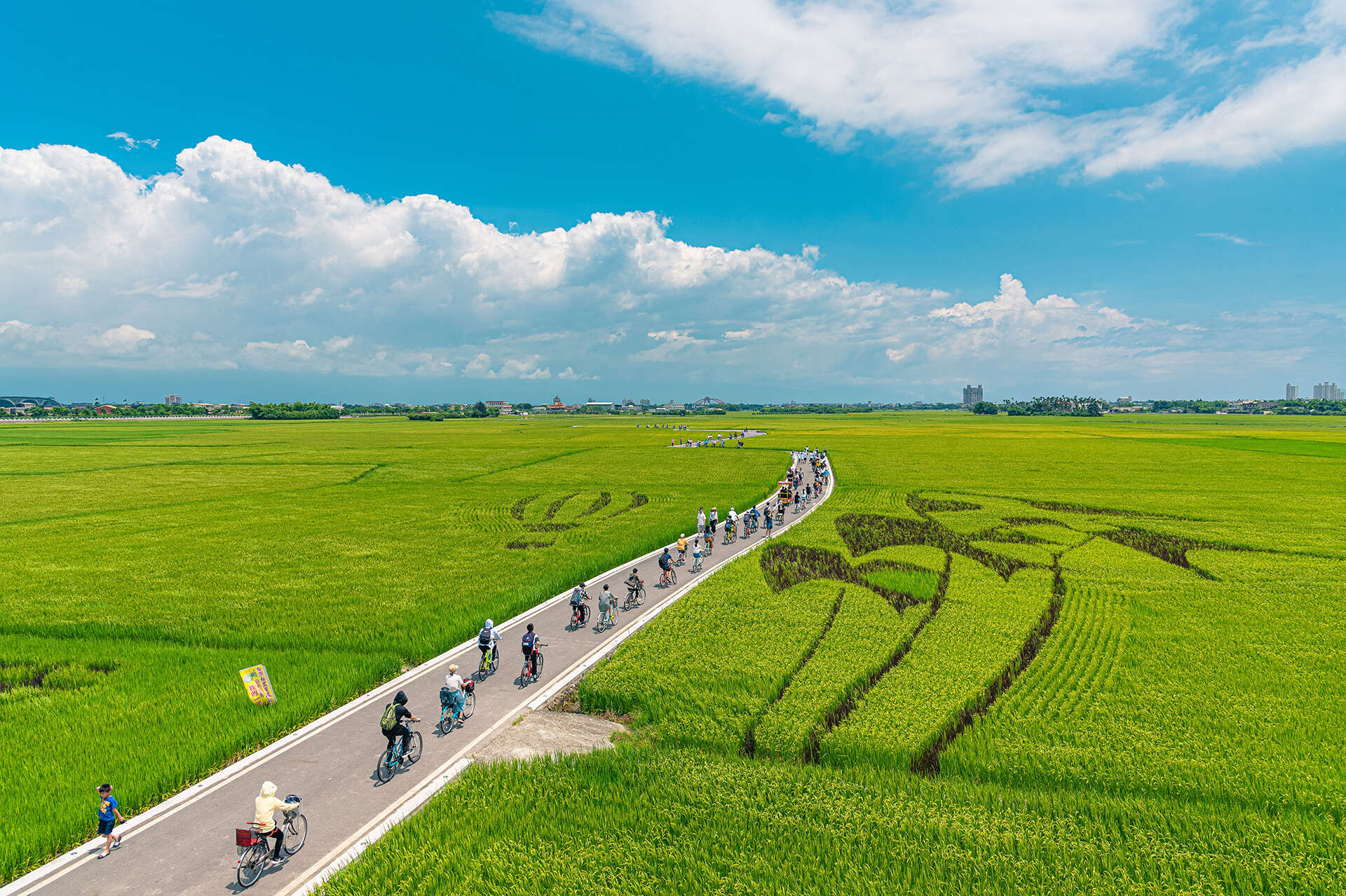 冬山三奇美徑 (宜蘭伯朗大道)