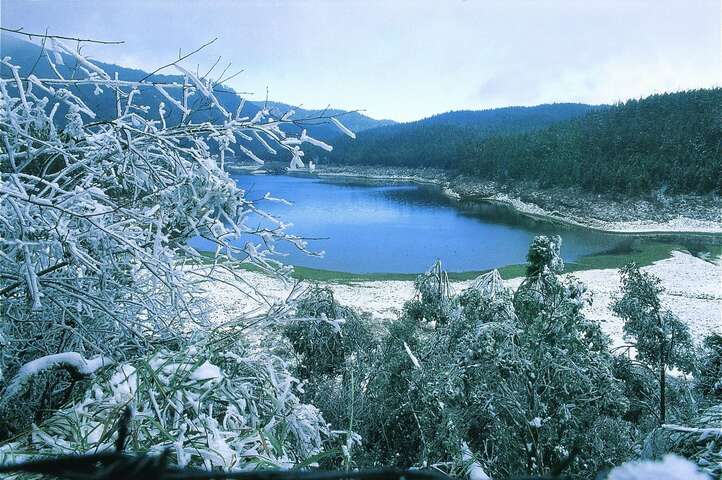 太平山國家森林遊樂區
